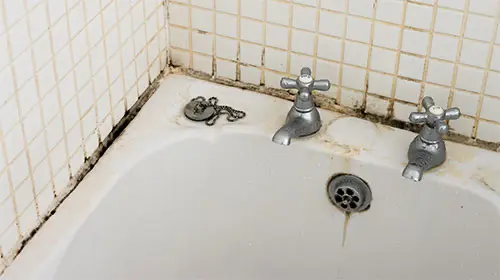 Mold in the Bathroom